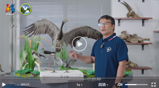 鸟类科普小知识1